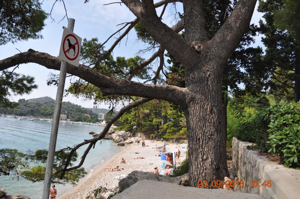 Zupa Dubrovacka Guest House photo