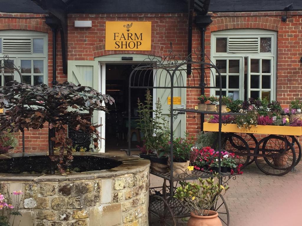 The Loft Midhurst photo 7
