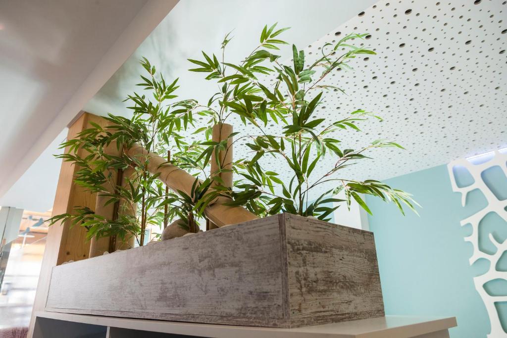 Hotel Boutique Barra Alta (Adults Only) photo