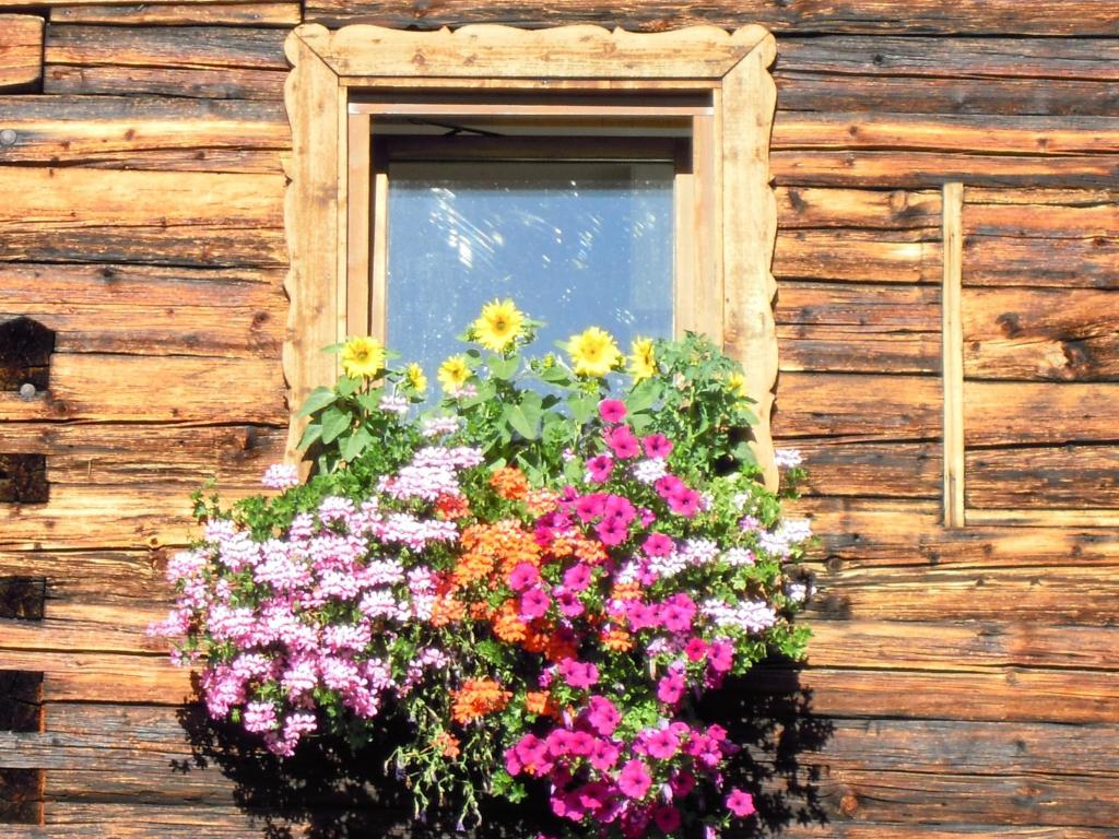 Ferienhaus Höchhäusl - 2