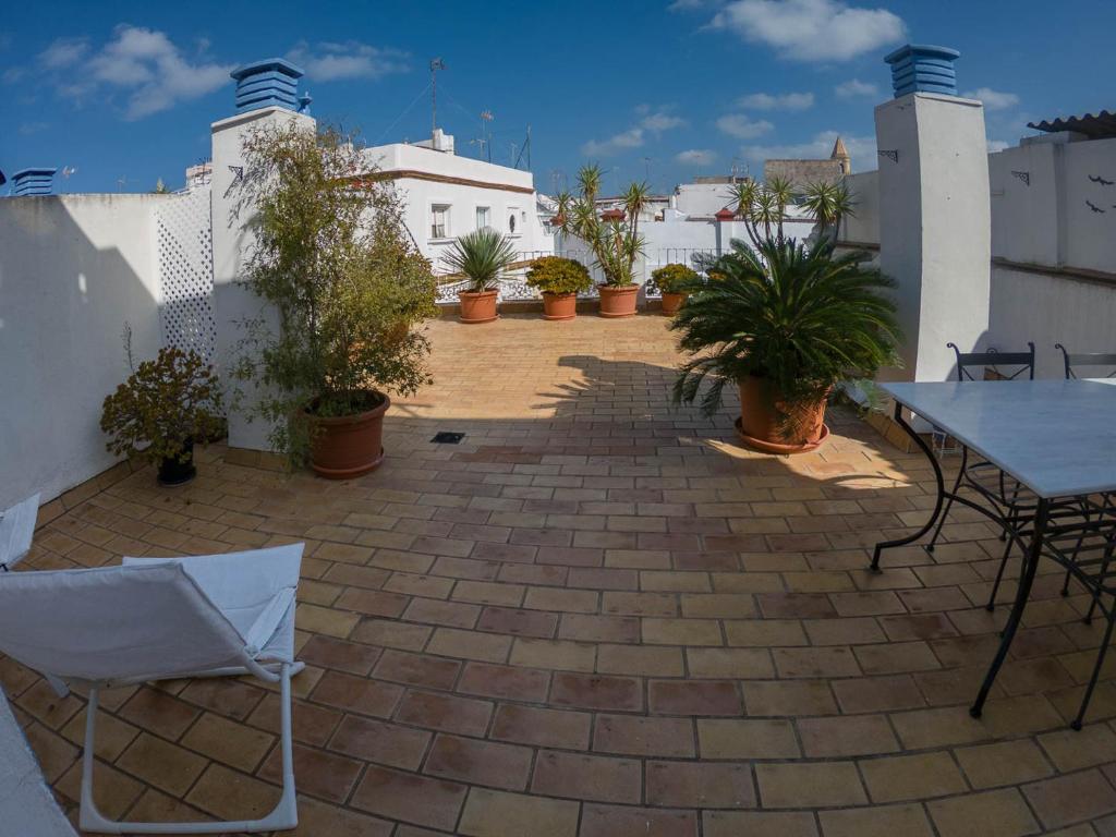 La Terraza del Drago - 2