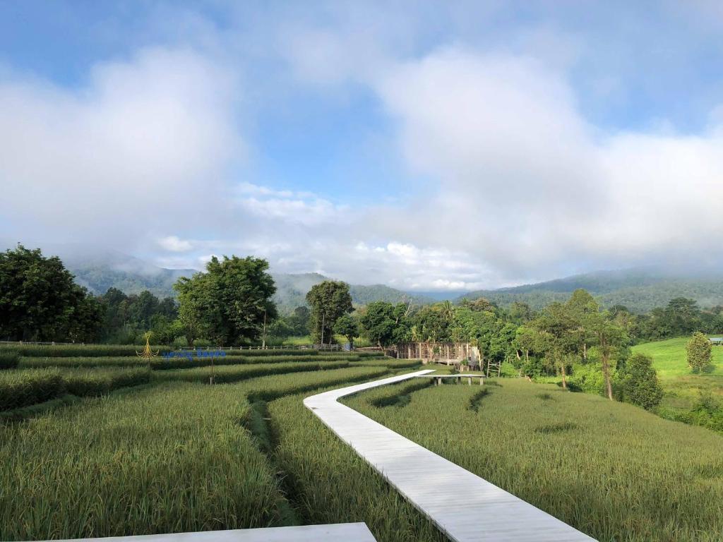 ทัศนียภาพ