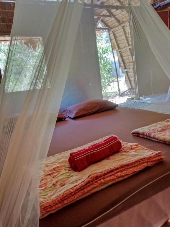 Mr. Chuoi bar and hut