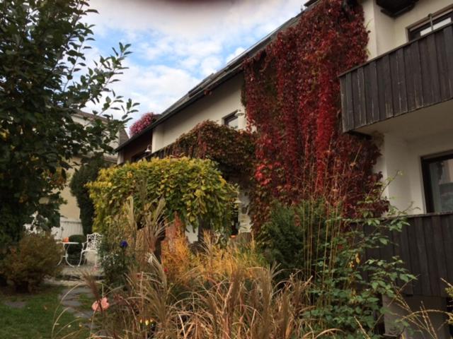 Berg Bad Steben Route Planner Distance Time And Costs