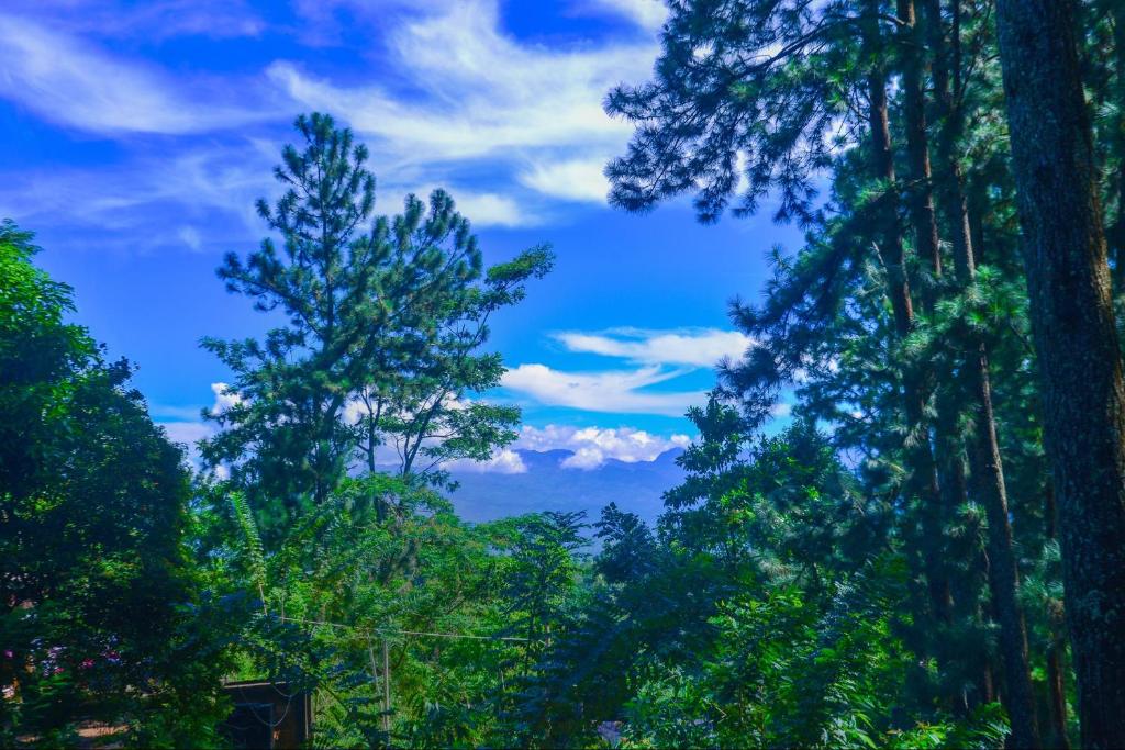 Lak Sewana Home Stay photo