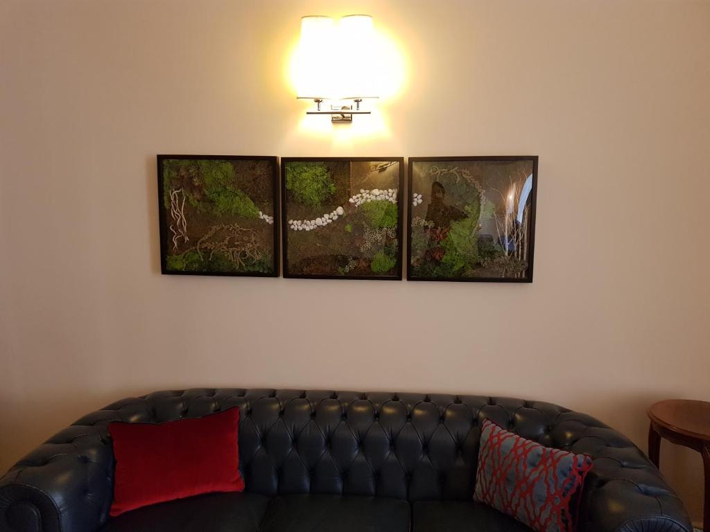 Közös társalgó / TV