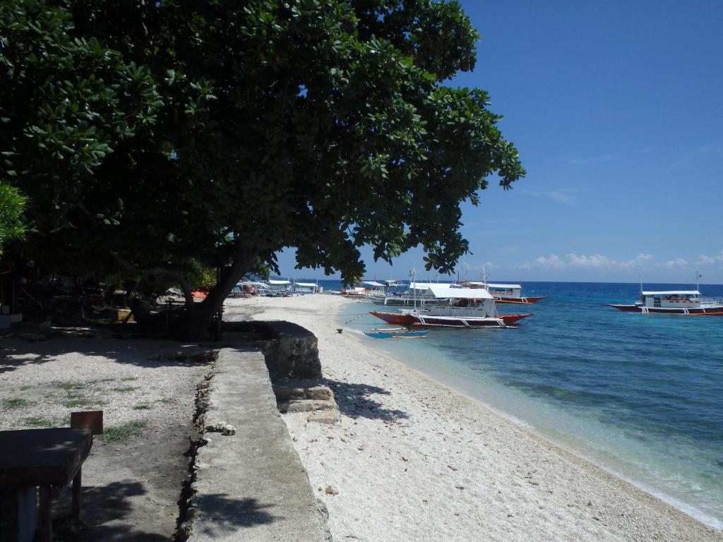 Surrounding environment
