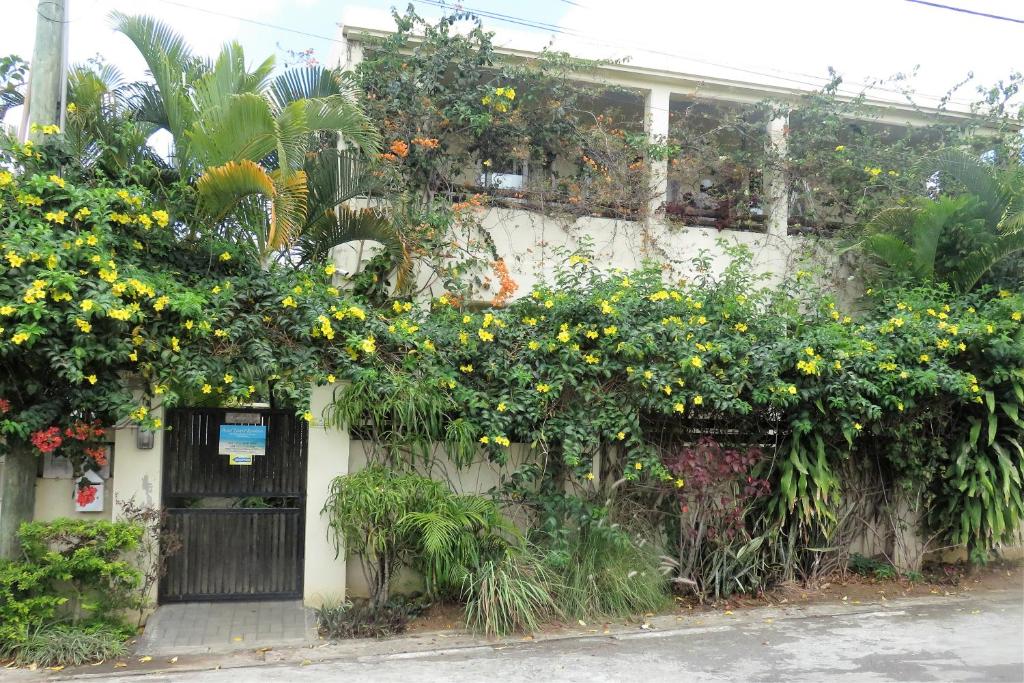 ทัศนียภาพ