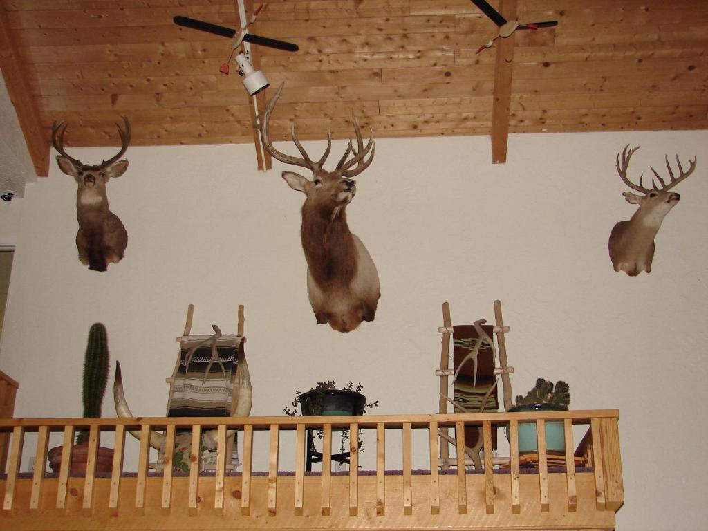 Mountain View Motor Inn photo