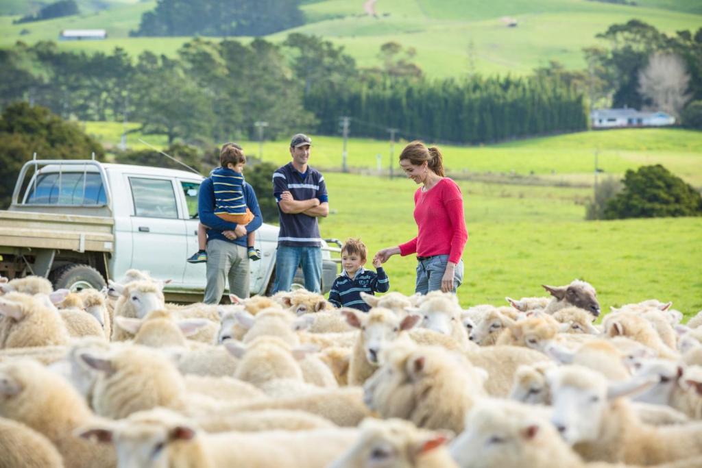 กิจกรรม