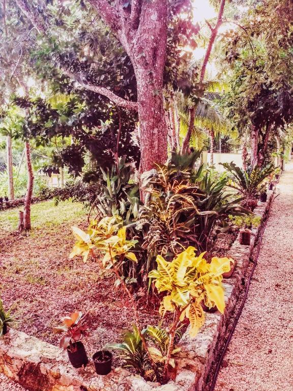 Surrounding environment