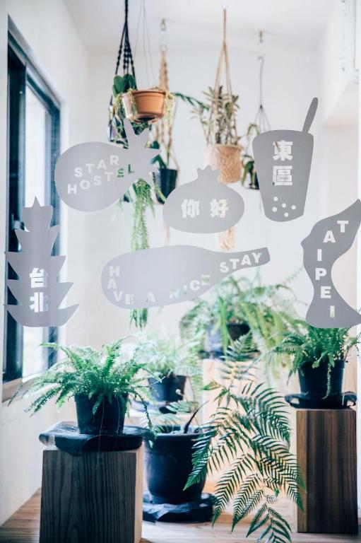 Star Hostel Taipei East