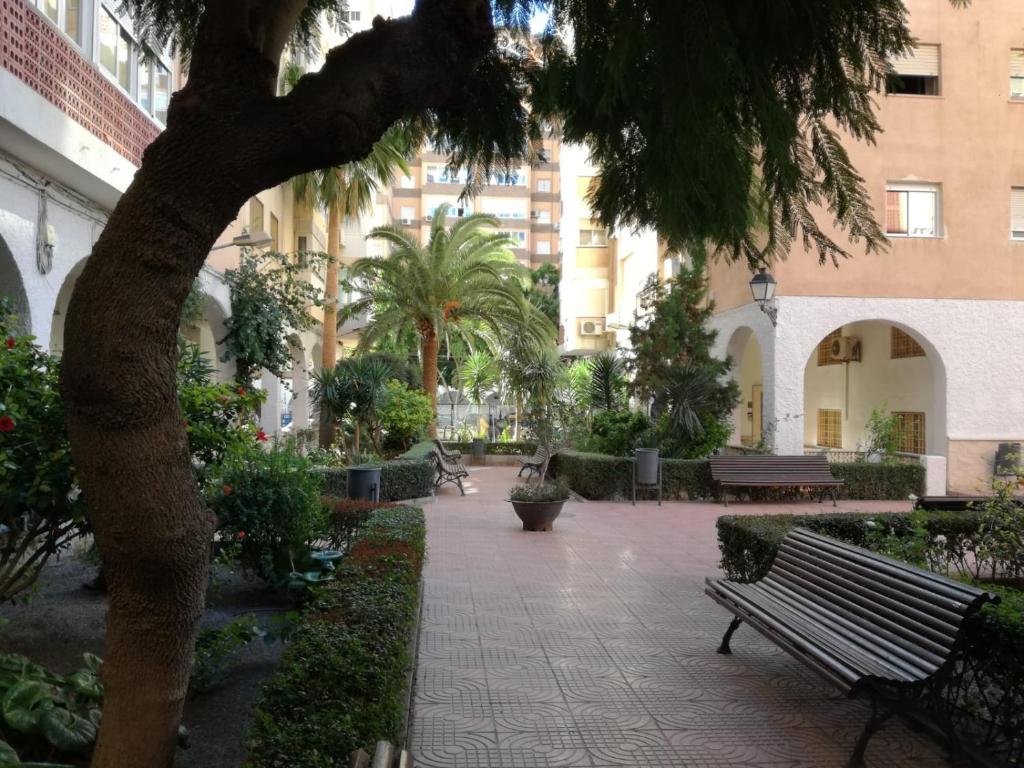 La casa de Blanca. Coqueto piso céntrico y cerca de todo - 5