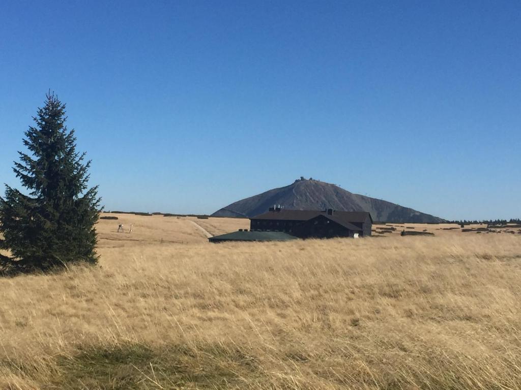 Surrounding environment