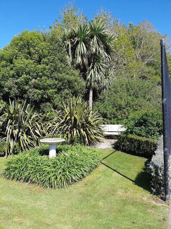 Surrounding environment