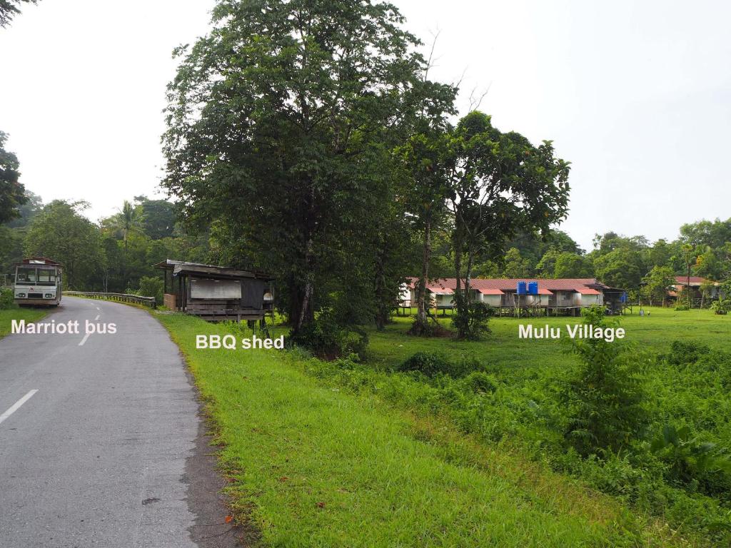 Surrounding environment