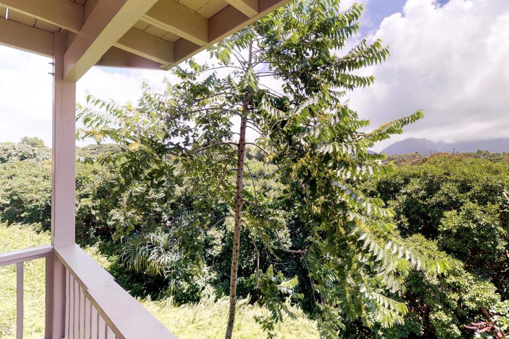 Hanalei Bay Villa #30 photo