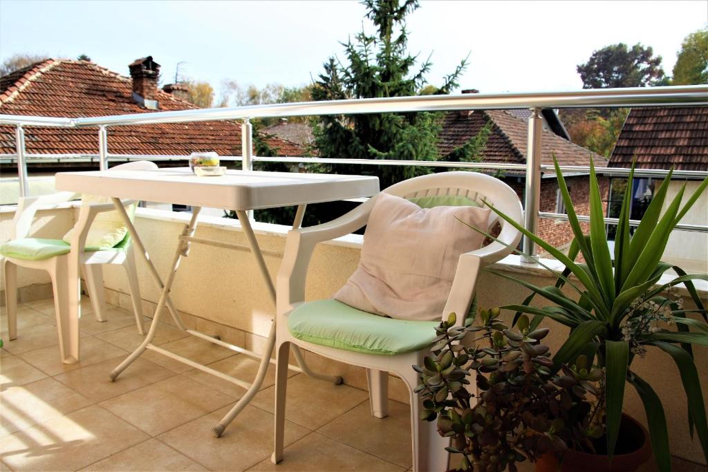 Central Modern Apt Struga photo