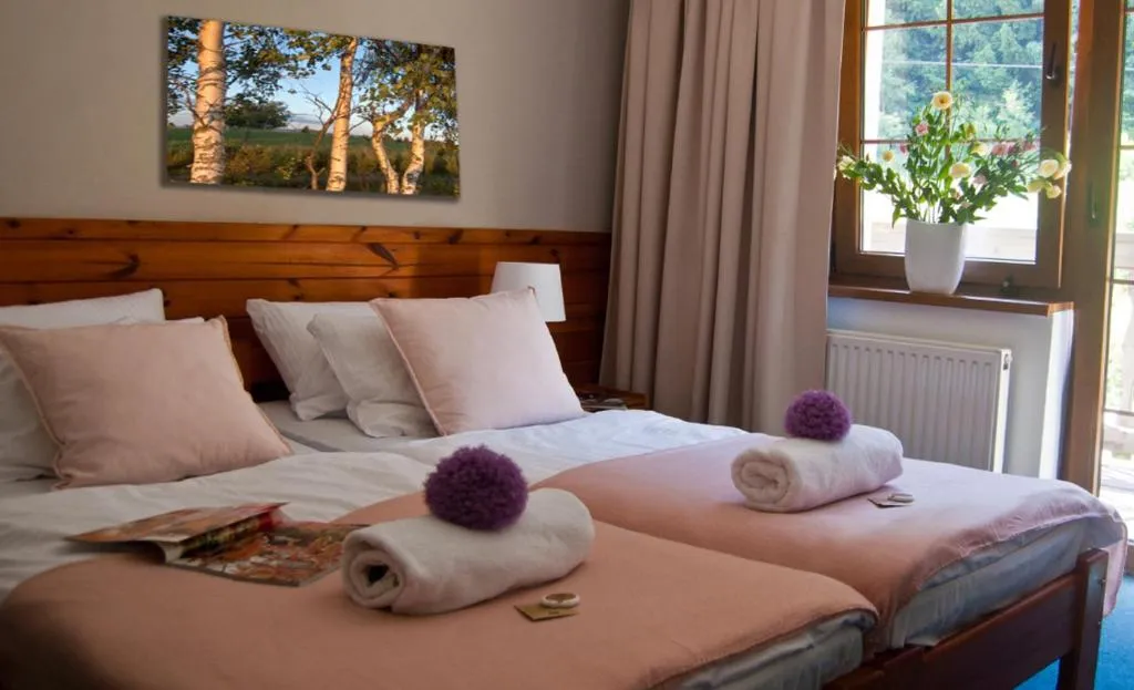Hotel Górski Czarna Góra，位于斯托尼拉斯奇的酒店