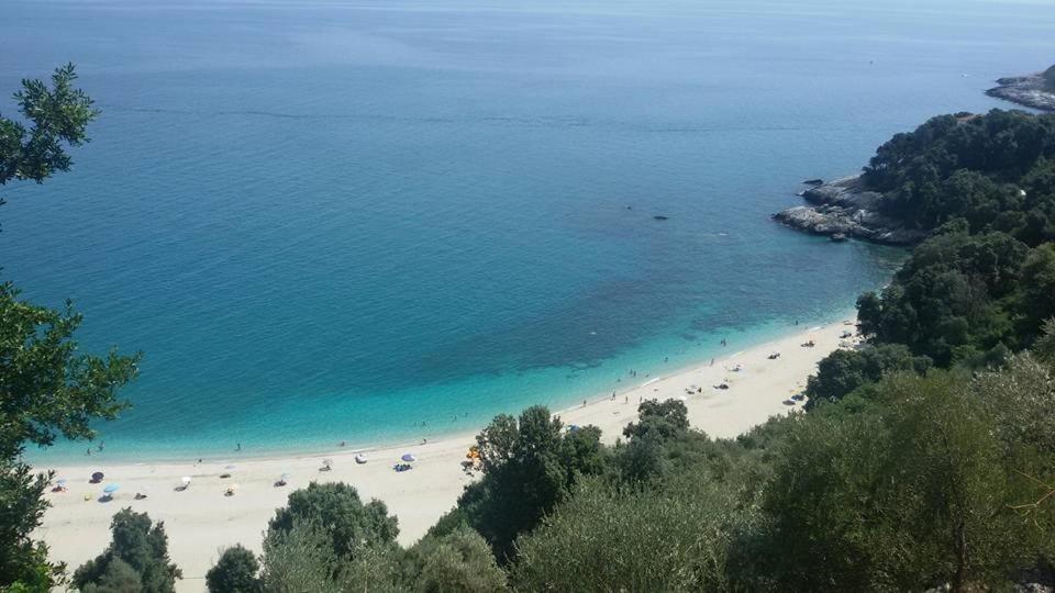 Vergopoulos Oliveyard photo