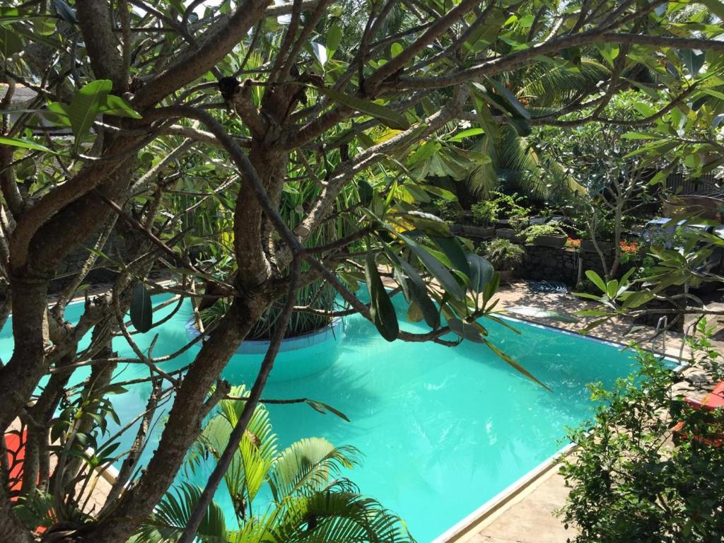 Aprima Hotel photo