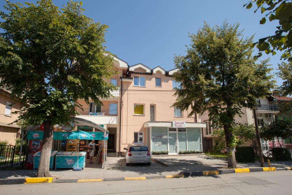 Central Modern Apt Struga photo