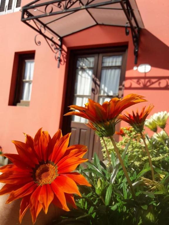 Carmine Hotel Apart — Hotel in Capilla Del Senor