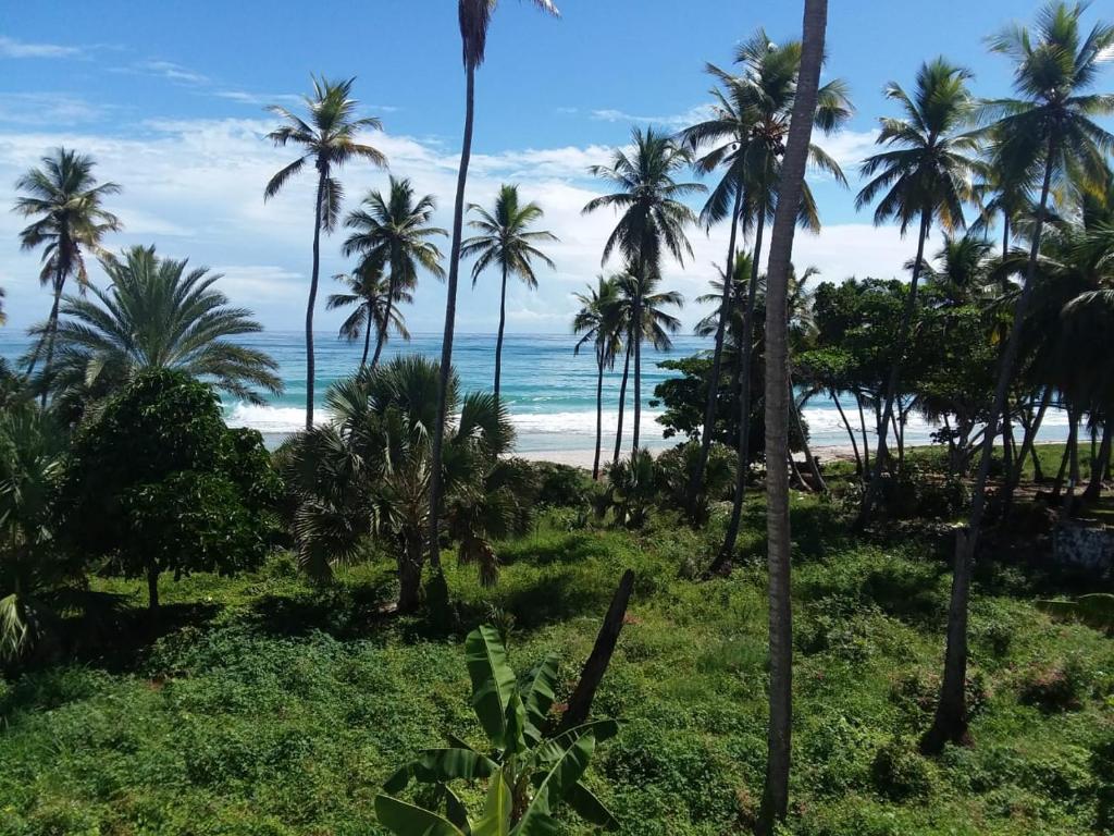 Oasi Encantada - Beach Resort photo