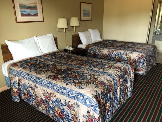 Treetop Inn photo