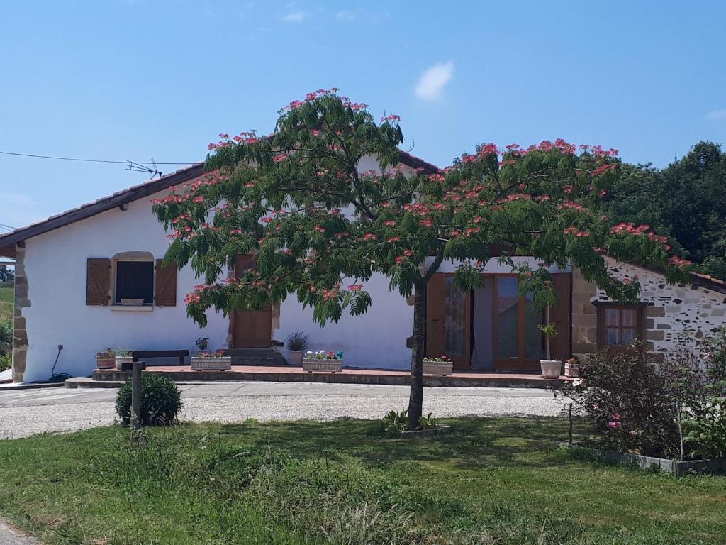 Gite Pouton — Hotel in Saint-Loubouer