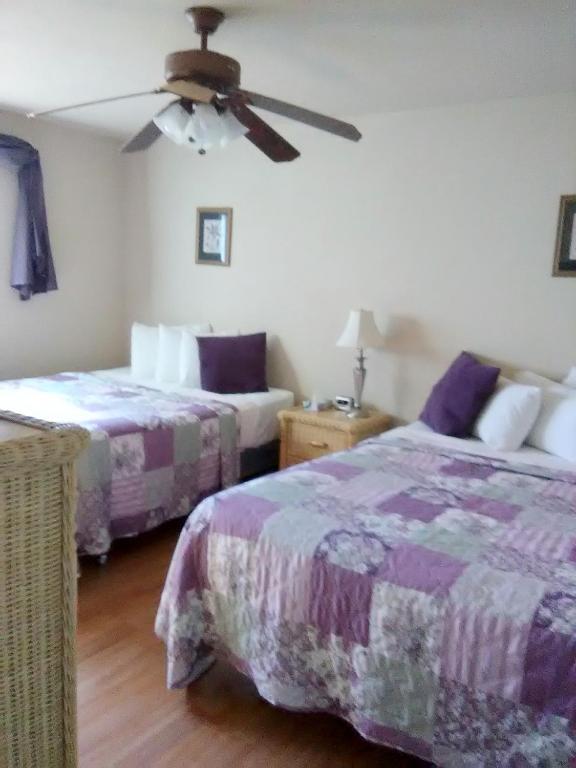 Hidden Palms Resort & Condominiums Photo 43