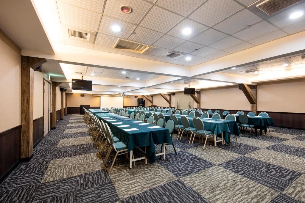 Săli de conferințe / săli de festivități