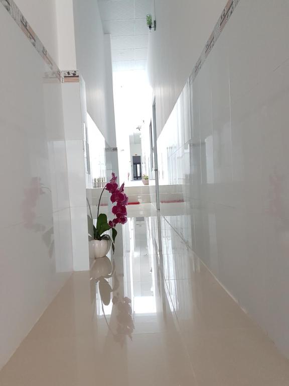 Song Ngoc Guesthouse Song Ngoc Guesthouse