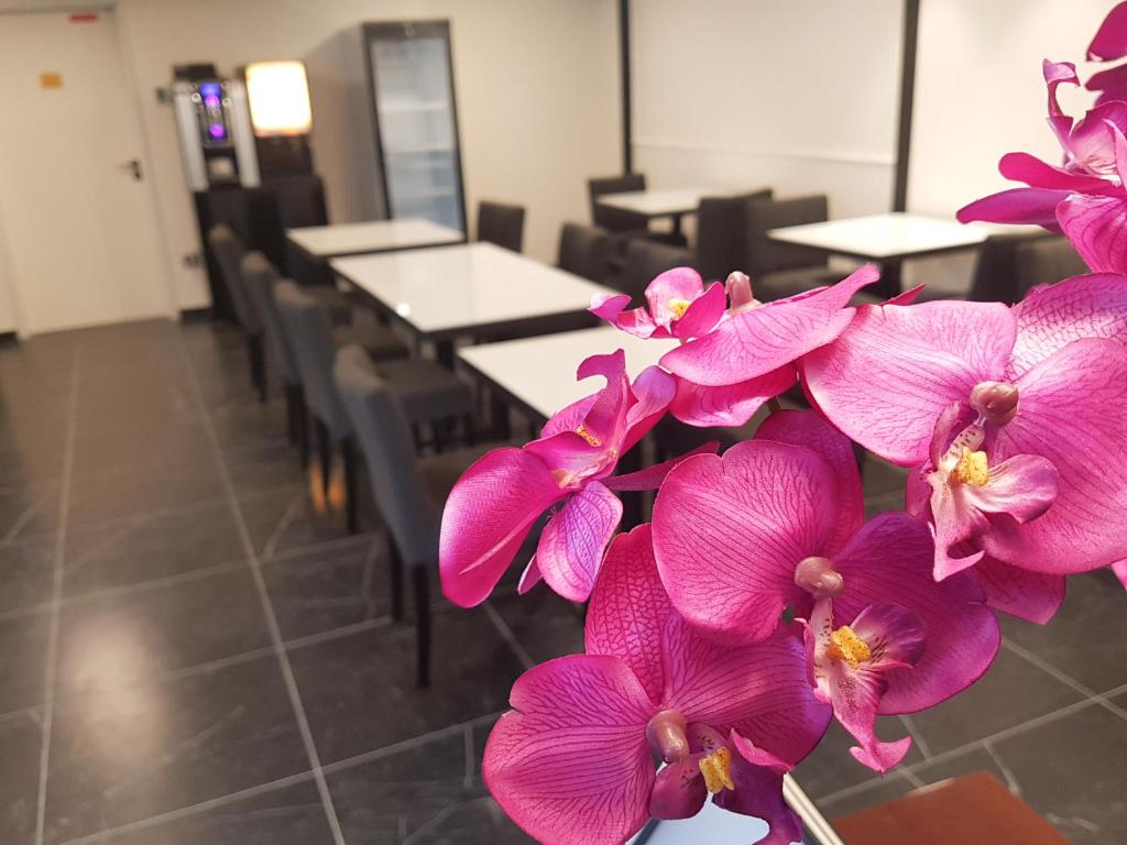 Best Western Hotel Journel Paris Sud photo