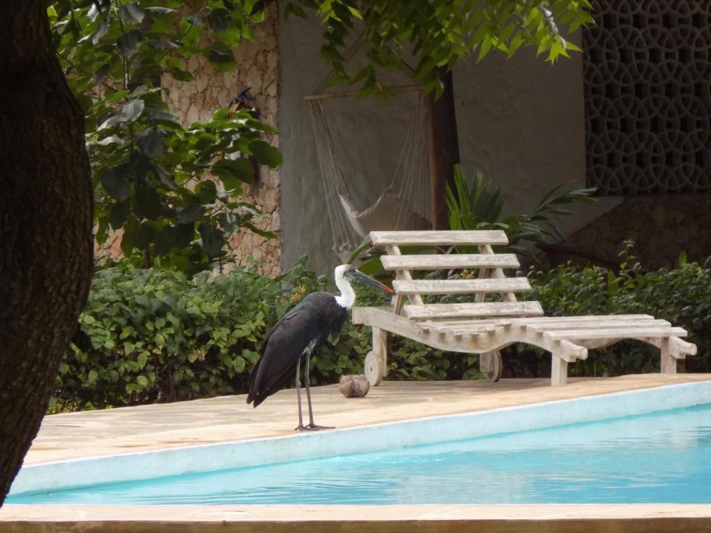 Eco Villas Watamu photo