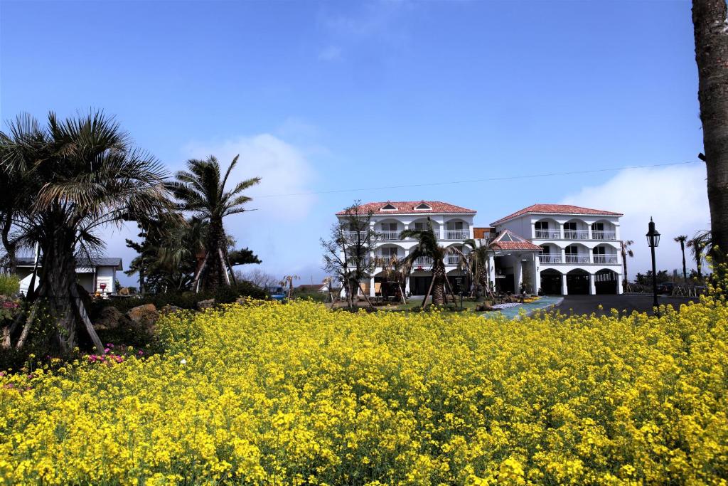 MJ Pension &amp; Resort — Hotel in Jeju