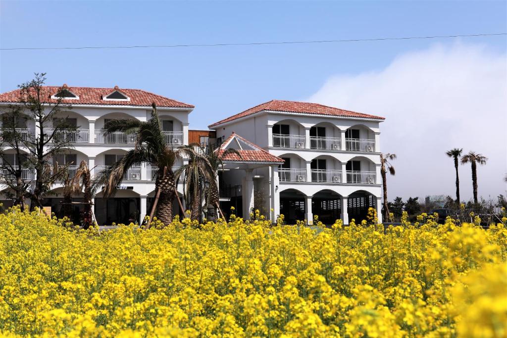 MJ Pension & Resort photo