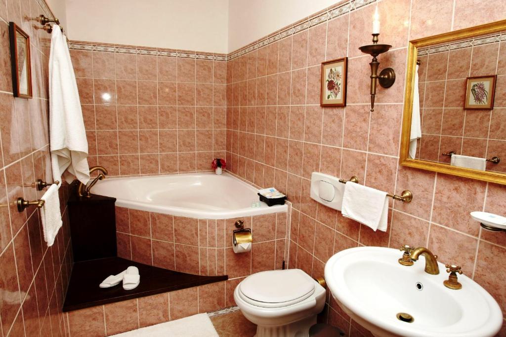 Zamek Jemniste photo