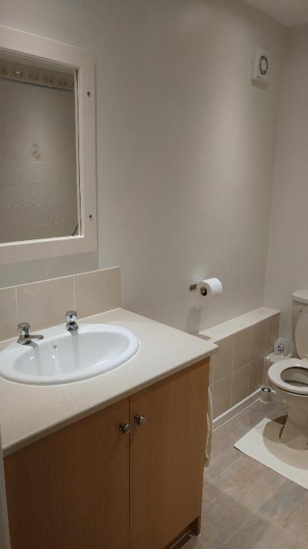 Swan Studios photo