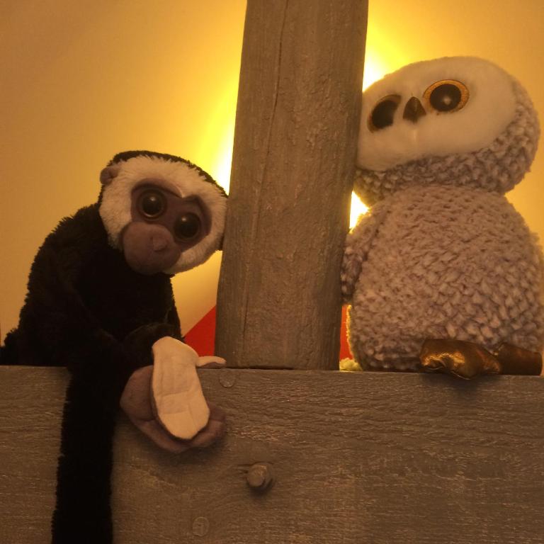 Le petit secret au pied du zoo - 5