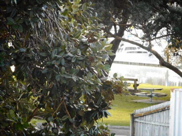 Apartment by the Marina photo