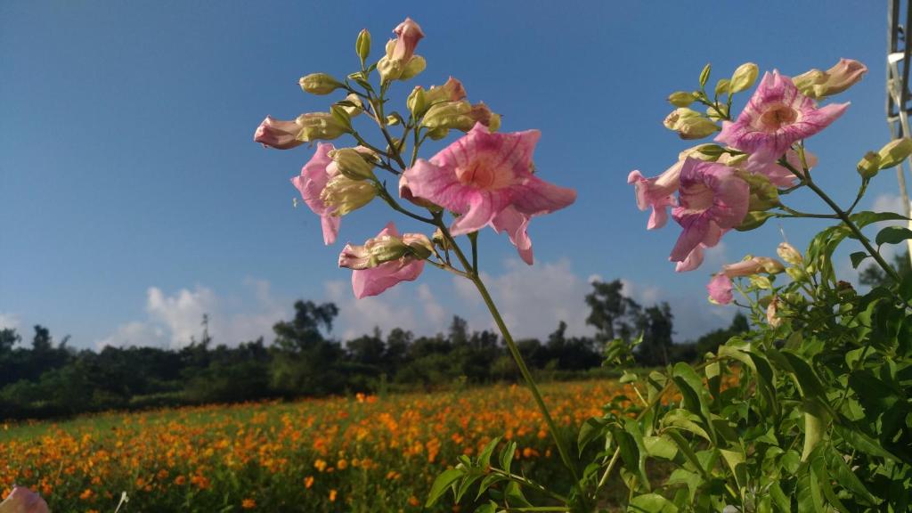 Jin Dun Yuan 호텔 이미지 2