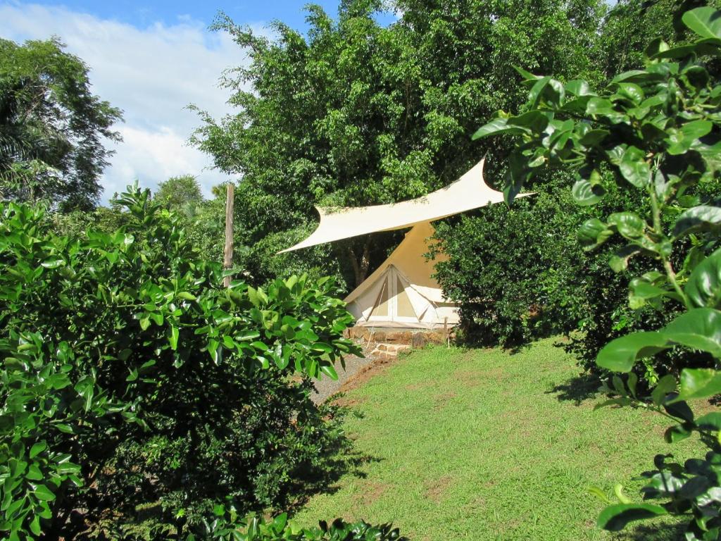 Alouatta Playa Coyote, San Francisco