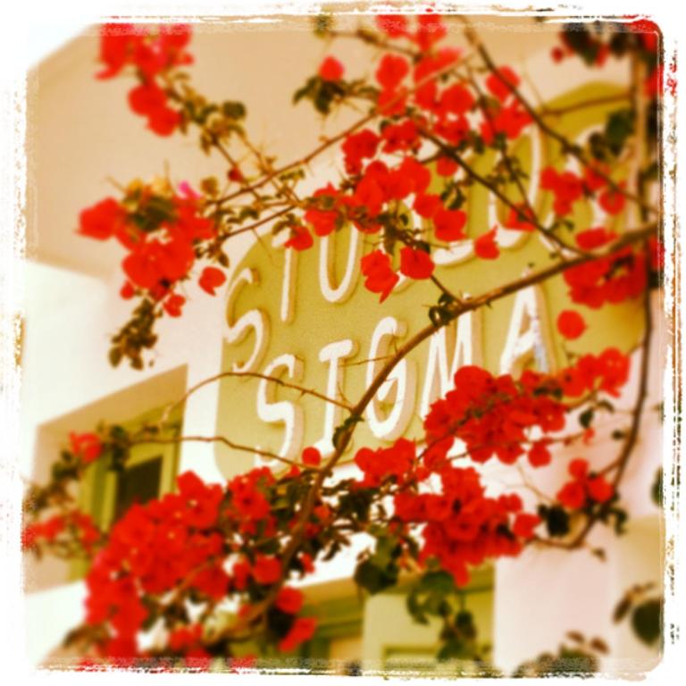 Sigma Studios on The Beach photo