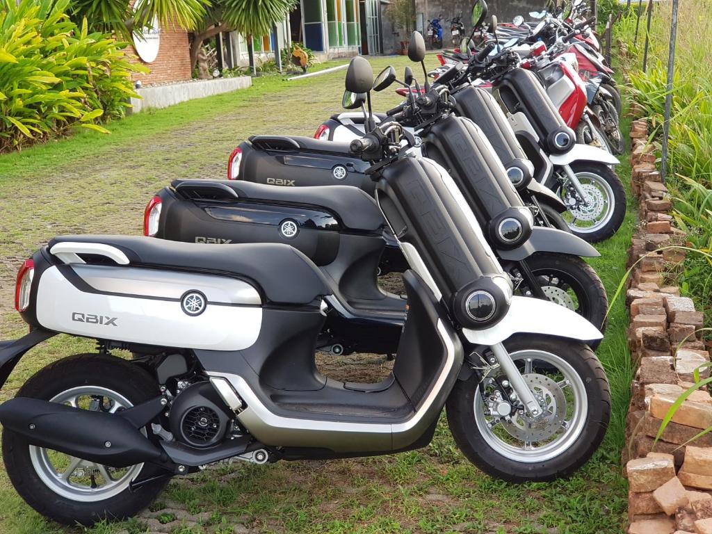 Sports and activities