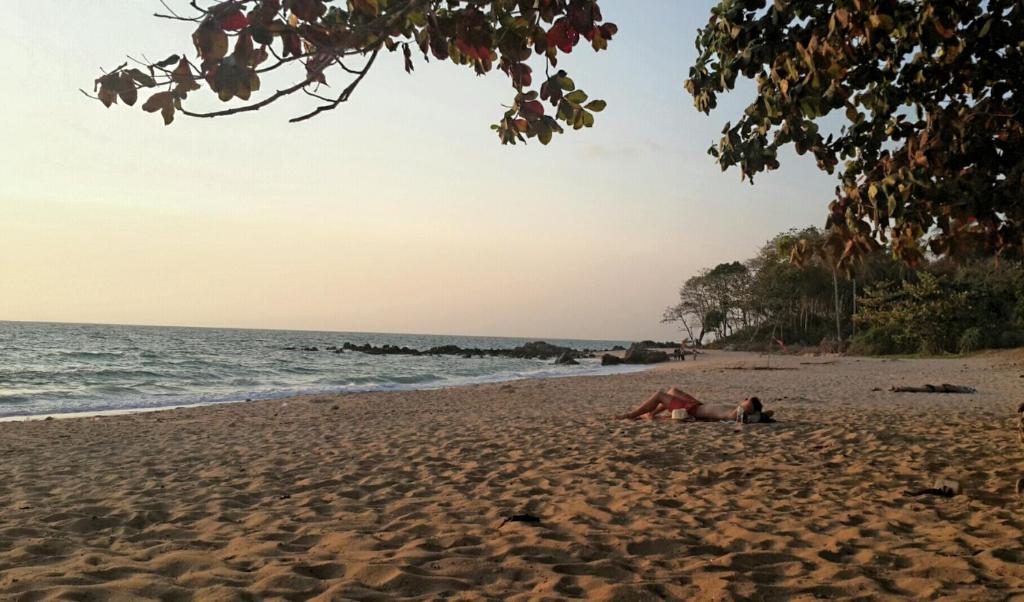 Surrounding environment