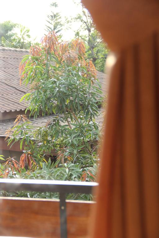 Bamboe Inn Homestay photo
