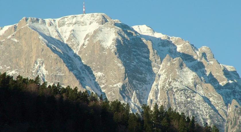 Ảnh 5