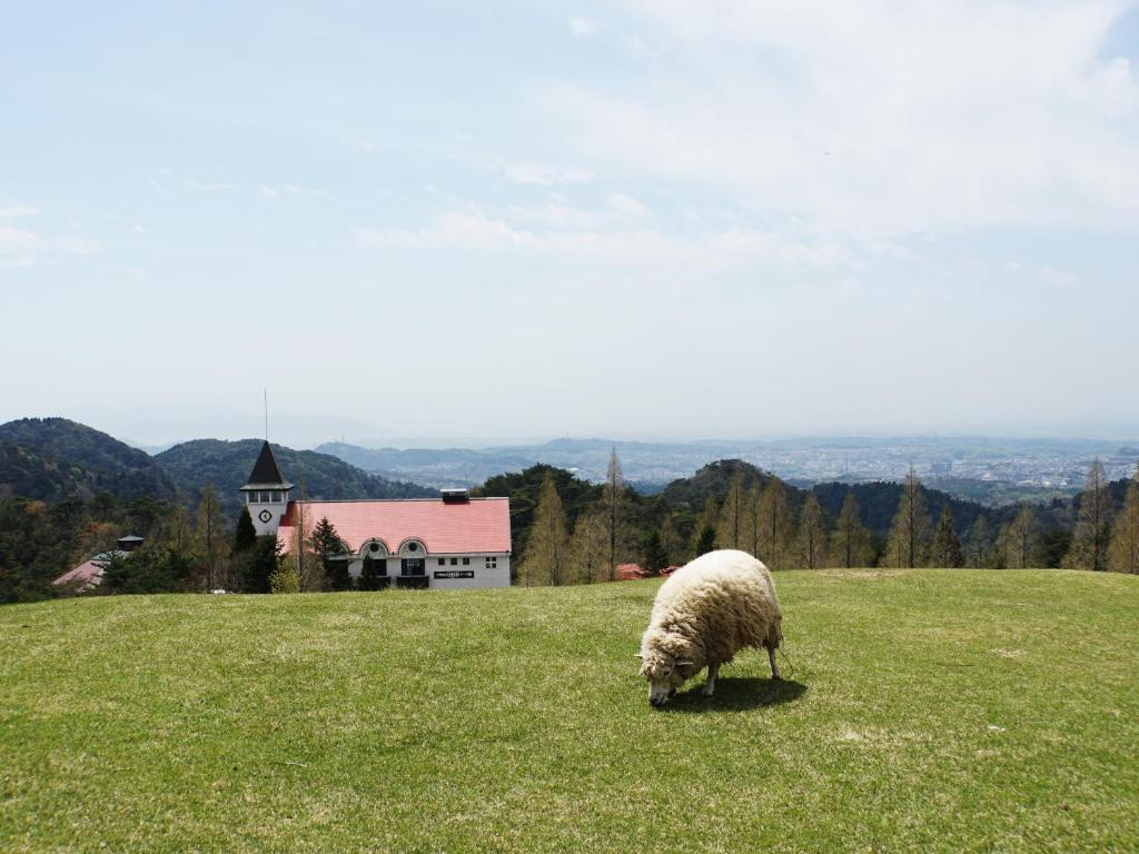 周辺観光スポット