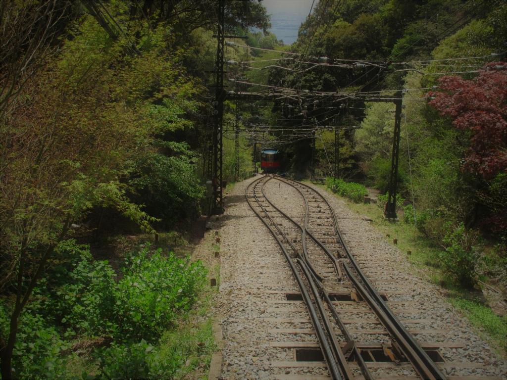 周辺観光スポット